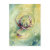 Circles Within Circles Post Card