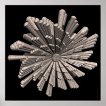 CIRCULAR ANOMALY PRINT