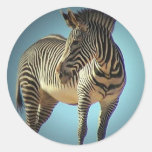 Circular Zebra Sticker