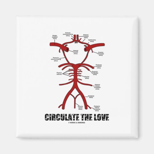 Circulate The Love (Circle Of Willis) Refrigerator Magnet