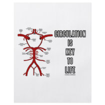 Circulation Is Key To Life (Circle Of Willis) Custom Flyer