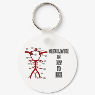 Circulation Is Key To Life (Circle Of Willis) keychain