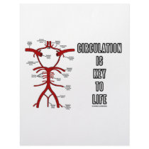 Circulation Is Key To Life (Circle Of Willis) Letterhead Design
