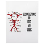 Circulation Is Key To Life (Circle Of Willis) Letterhead Design