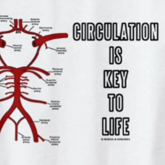 Circulation Is Key To Life (Circle Of Willis) shirt