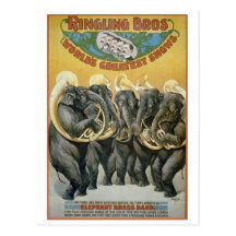 Circus Elephants Brass Band Postcards