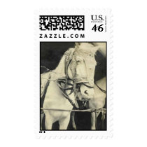 circus horse postage by amazingvintage circus horse postage