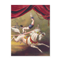 Circus poster showing acrobat performing on horse postcards