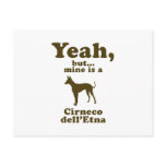 Cirneco dell'Etna