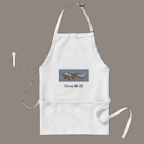 Cirrus SR22 aprons