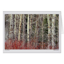 Cisco Grove - Donner Pass - California Cards