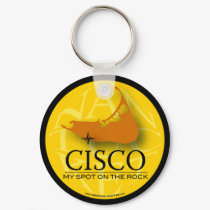 cisco keychain by wurlypurly cisco keychain