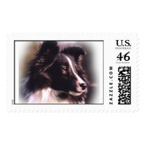 cisco  postage