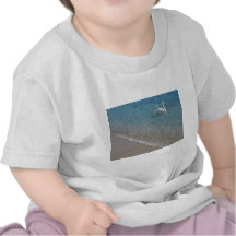 Cisne en agua de mar baja cristalina camiseta