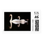 Cisnes mudos sello