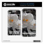 CITR Crocus in the Rocks LG Arena 3G Decals