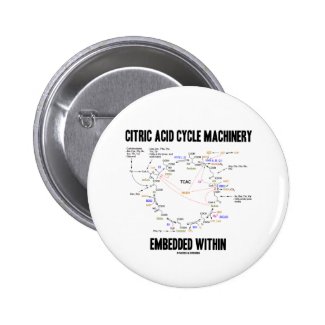 Citric Acid Cycle Machinery Embedded Within Krebs Pinback Button