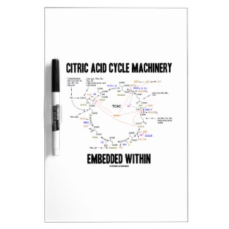 Citric Acid Cycle Machinery Embedded Within Krebs Dry-Erase Whiteboards