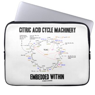 Citric Acid Cycle Machinery Embedded Within Krebs Computer Sleeves
