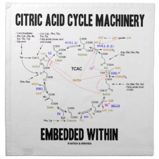 Citric Acid Cycle Machinery Embedded Within Krebs Cloth Napkins