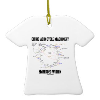 Citric Acid Cycle Machinery Embedded Within Krebs Christmas Tree Ornament