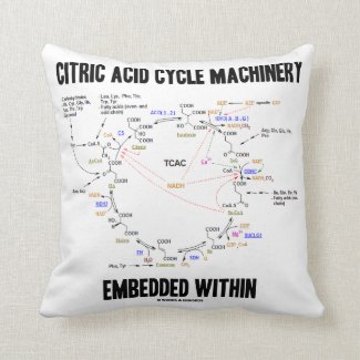 Citric Acid Cycle Machinery Embedded Within Krebs Pillow