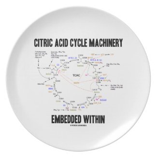 Citric Acid Cycle Machinery Embedded Within Krebs Party Plates