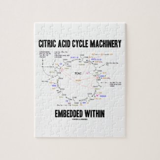 Citric Acid Cycle Machinery Embedded Within Krebs Puzzles