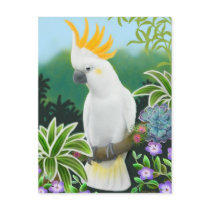 Citron Cockatoo Postcard by twopurringcats Citron Cockatoo Postcard