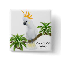 Citron Crested Cockatoo Pin buttons by twopurringcats Citron Crested Cockatoo Pin buttons