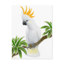 Citron Crested Cockatoo Postcard by twopurringcats Citron Crested Cockatoo Postcard