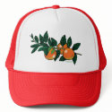 citrus branch cap hats