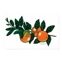 citrus branch poster posters