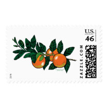 citrus branch stamp
