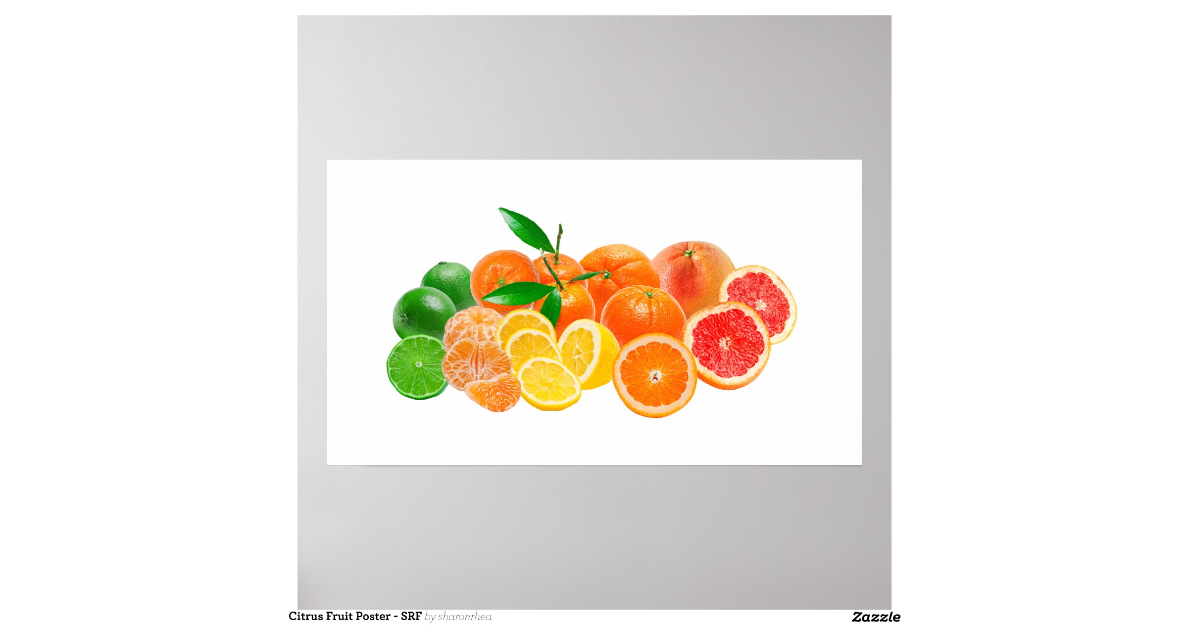 Citrus Fruit Poster SRF Zazzle