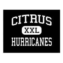 Citrus - Hurricanes - High - Inverness Florida Postcard