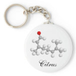 Citrus Keychain