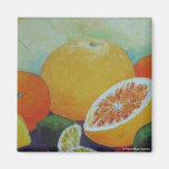 Citrus Splash Magnet