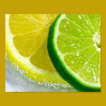 Citrus Squeeze posters