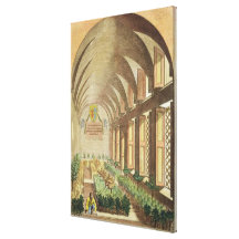 Citrus trees in a hothouse, from 'Hesperides' by G Stretched Canvas Prints