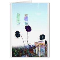 City Blooms cards
