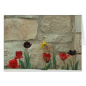 City Blooms cards
