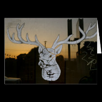 City Deer cards