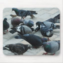 city doves mousepads
