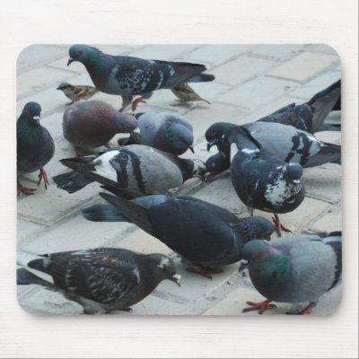 city doves mouse mats by VioDePhoto