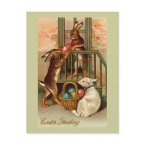 City Easter Bunnies With Lamb Postcard