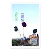 City Flowers posters