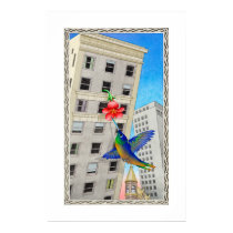 City Hummingbird posters