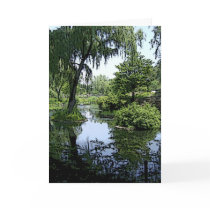 City of Chicago & Lake Michigan cards by allthingsnatural City of Chicago & Lake Michigan cards