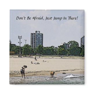 City of Chicago & Lake Michigan magnet